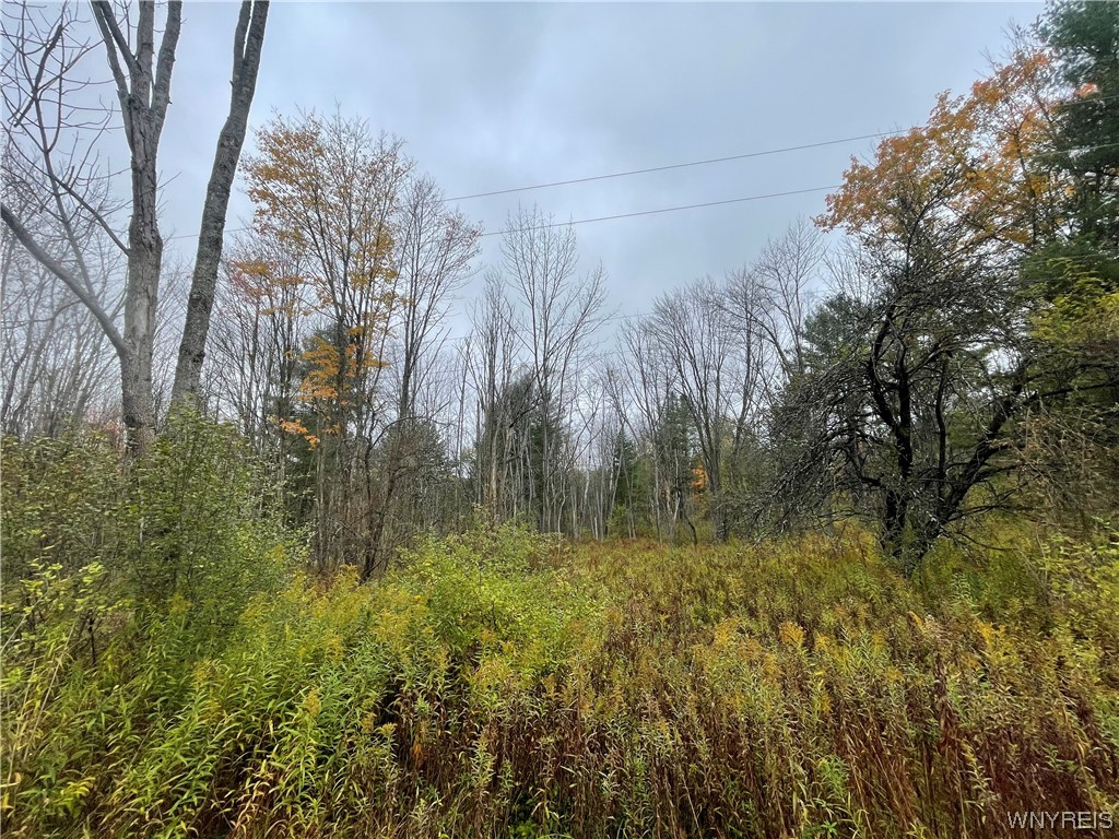 4173 Acme Road