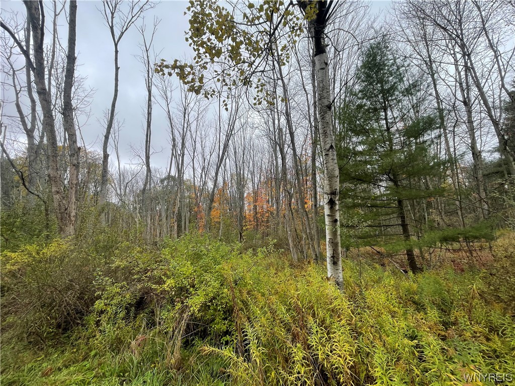 4173 Acme Road
