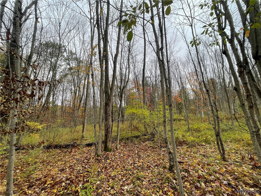 4173 Acme Road