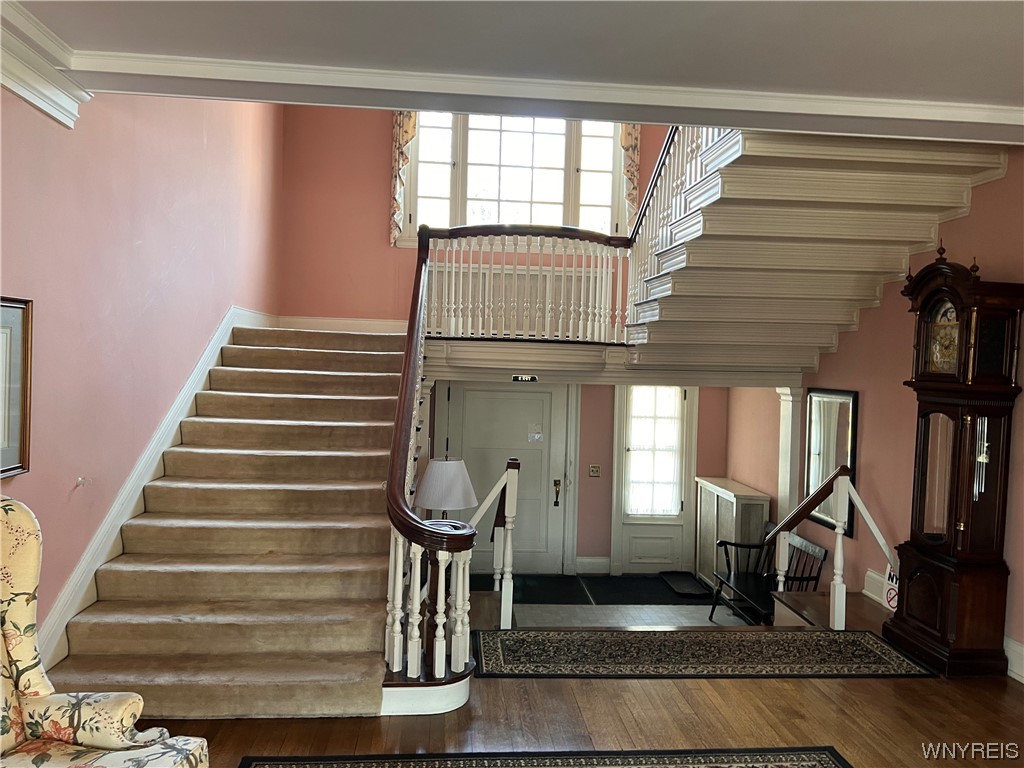 270 Buffalo Road 41