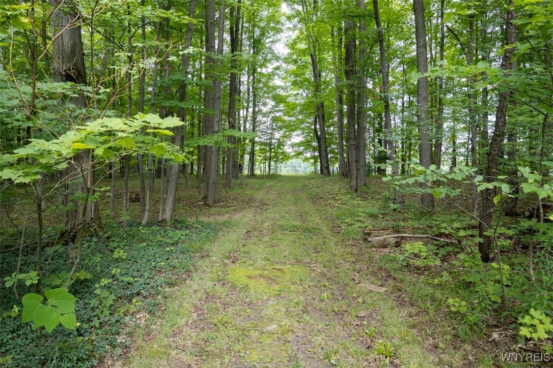 6500 Maple Hill Road