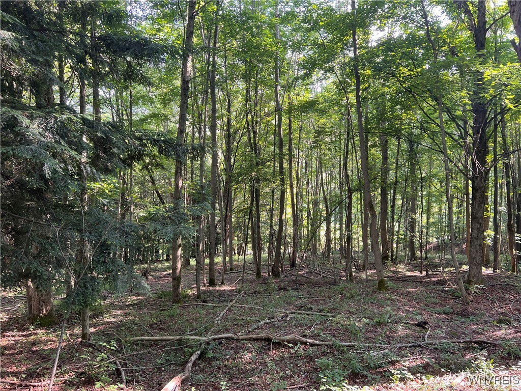 250 Center Road