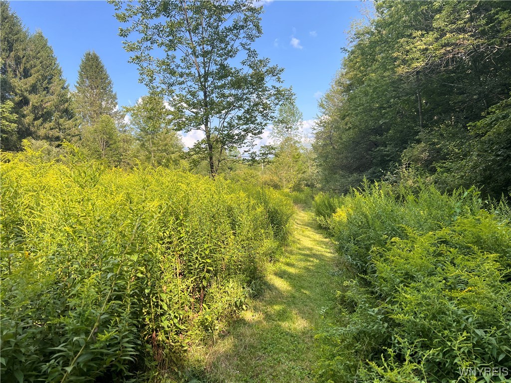 250 Center Road
