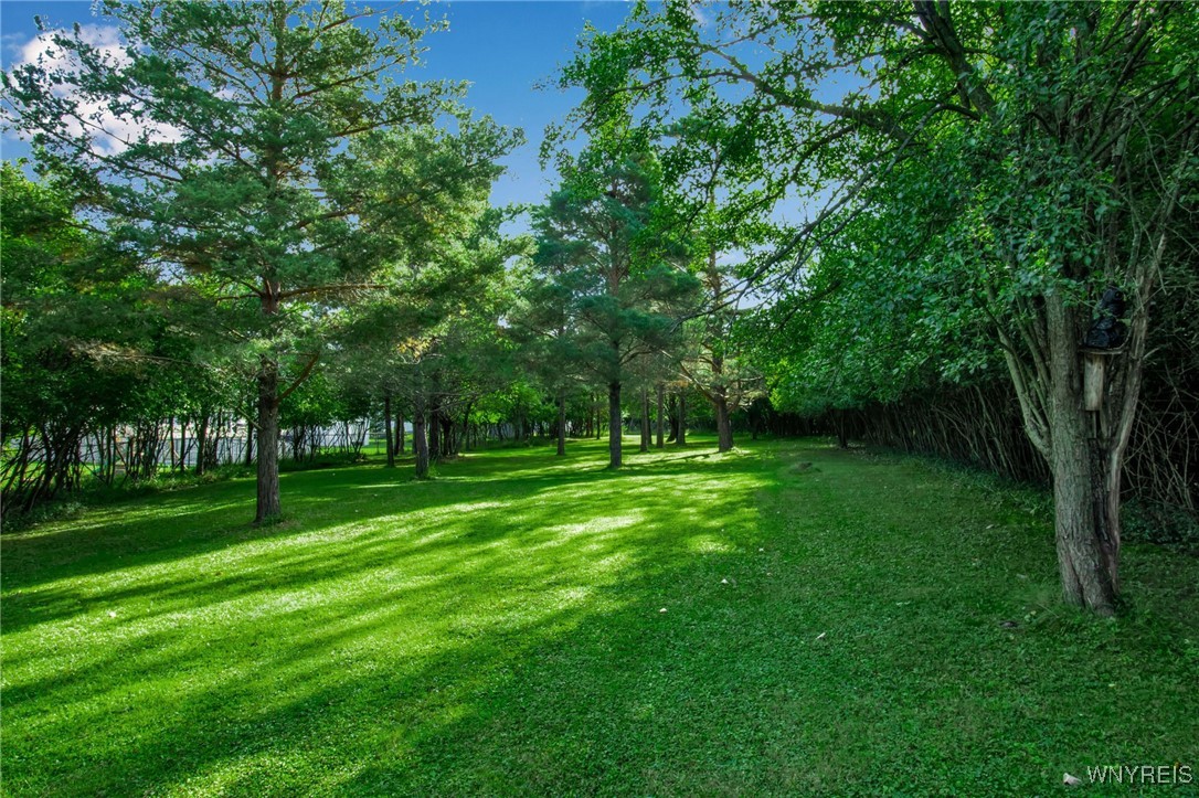 125 Mill Road