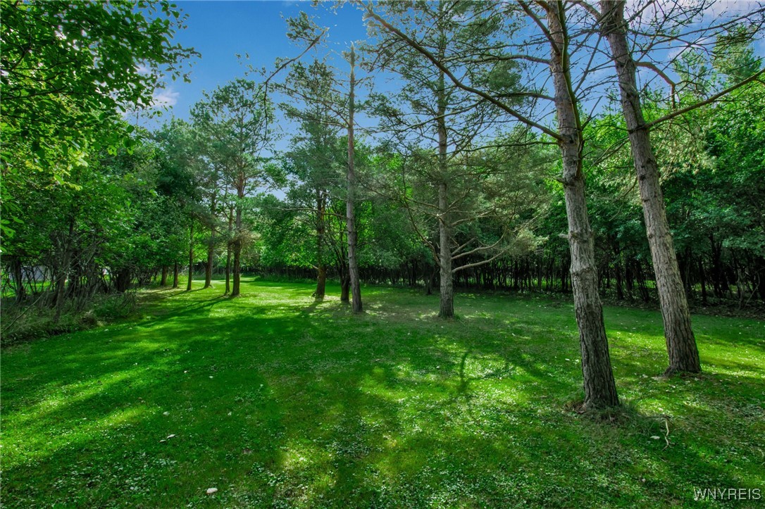 125 Mill Road
