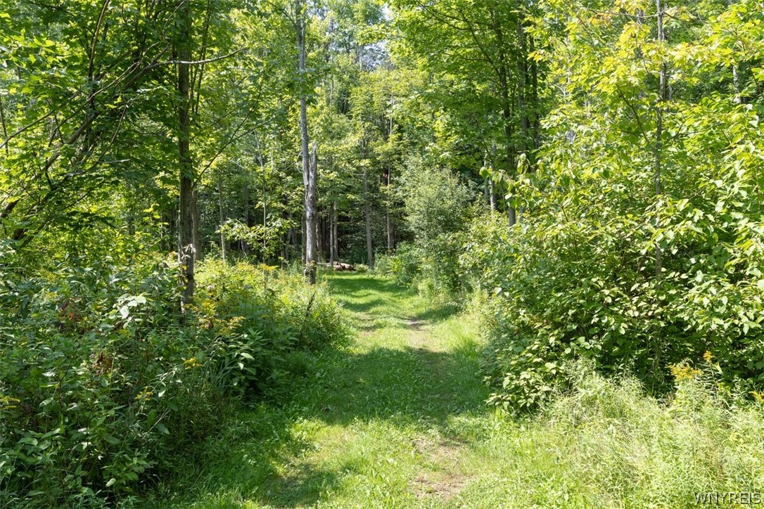 285 Cook Road