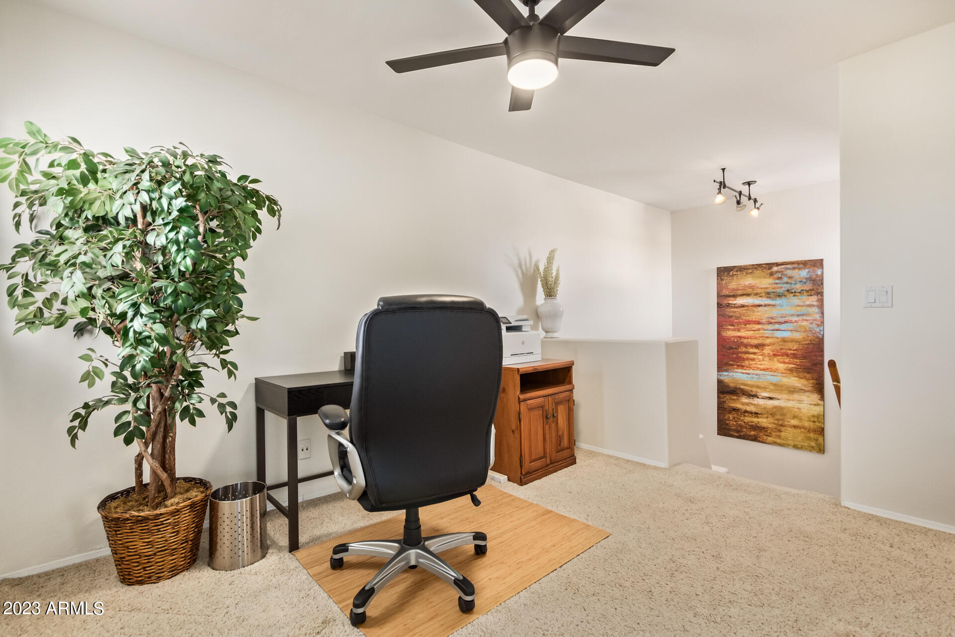 7666 N VIA CAMELLO DEL NORTE --