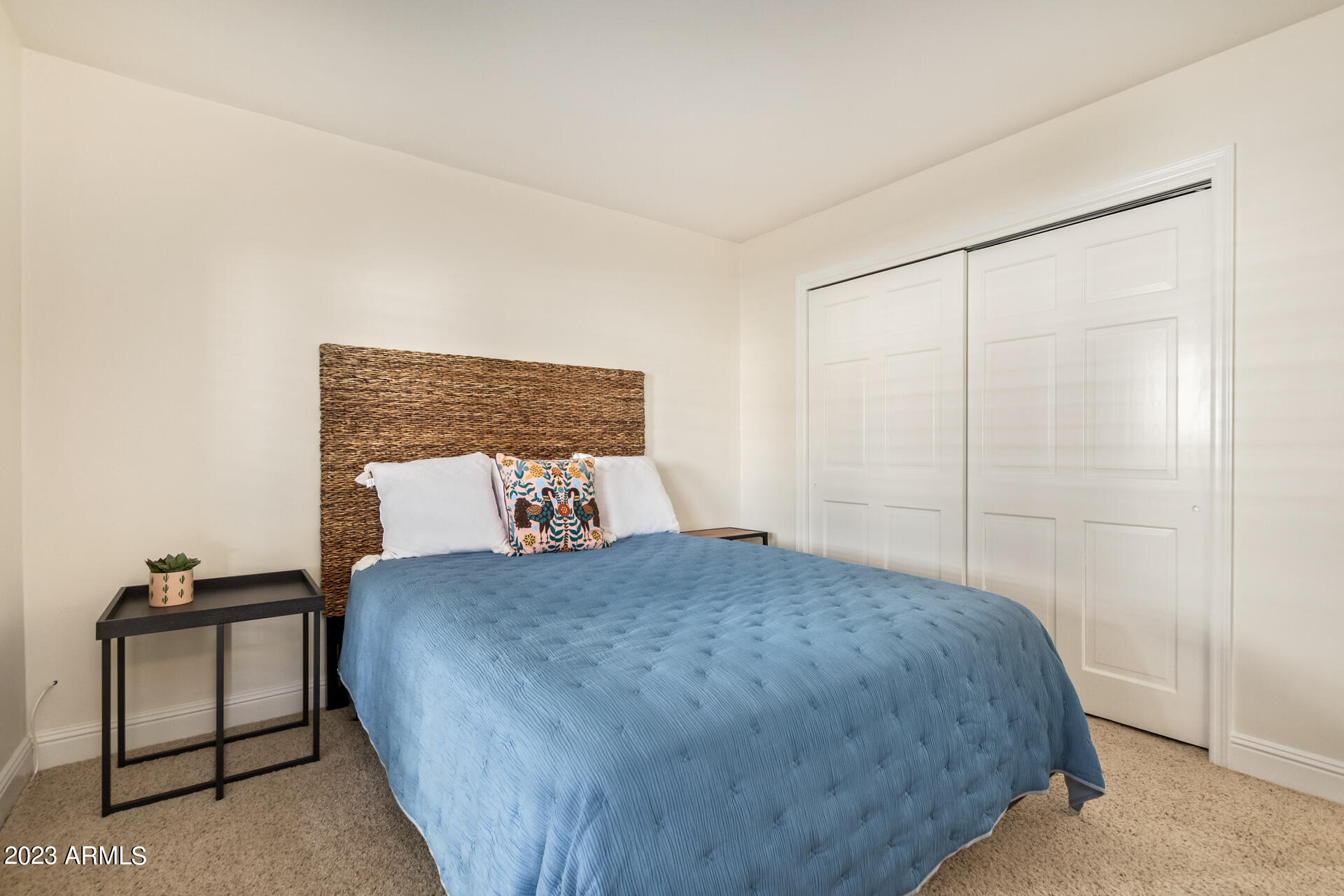 7666 N VIA CAMELLO DEL NORTE --