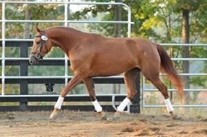 975 Blalock Lakes Drive