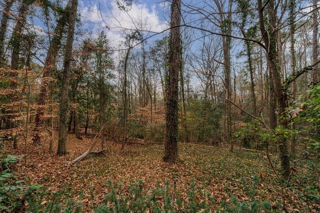 3990 Randall Mill Road NW