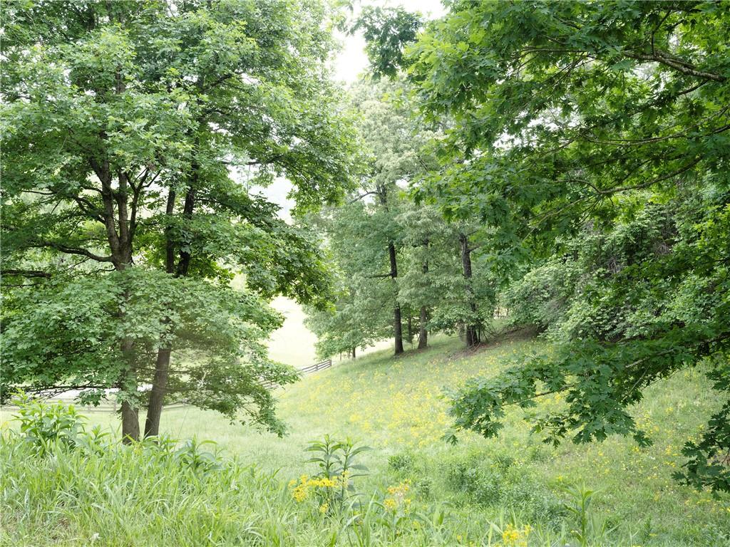 619 Hamp Mill Road