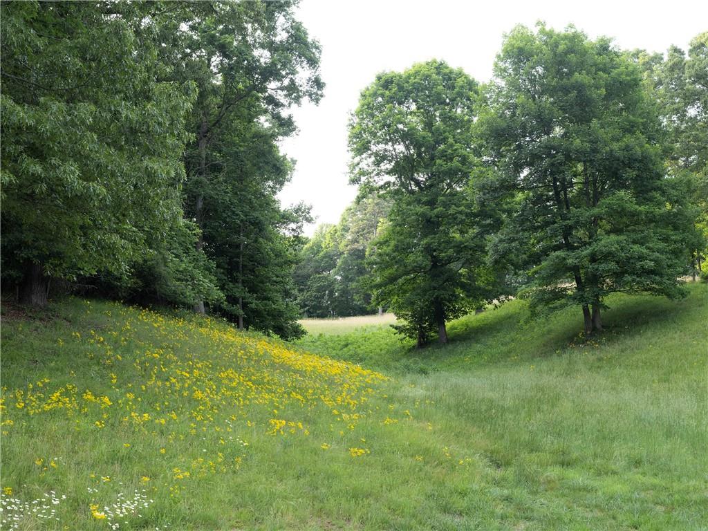 619 Hamp Mill Road