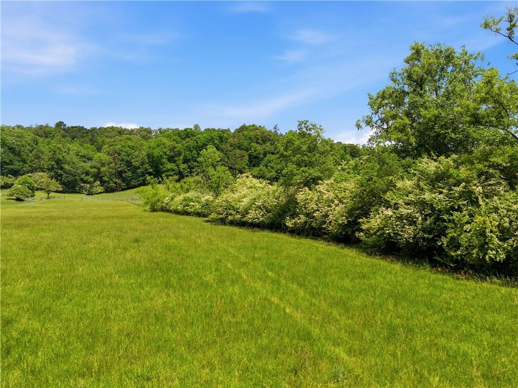 619 Hamp Mill Road