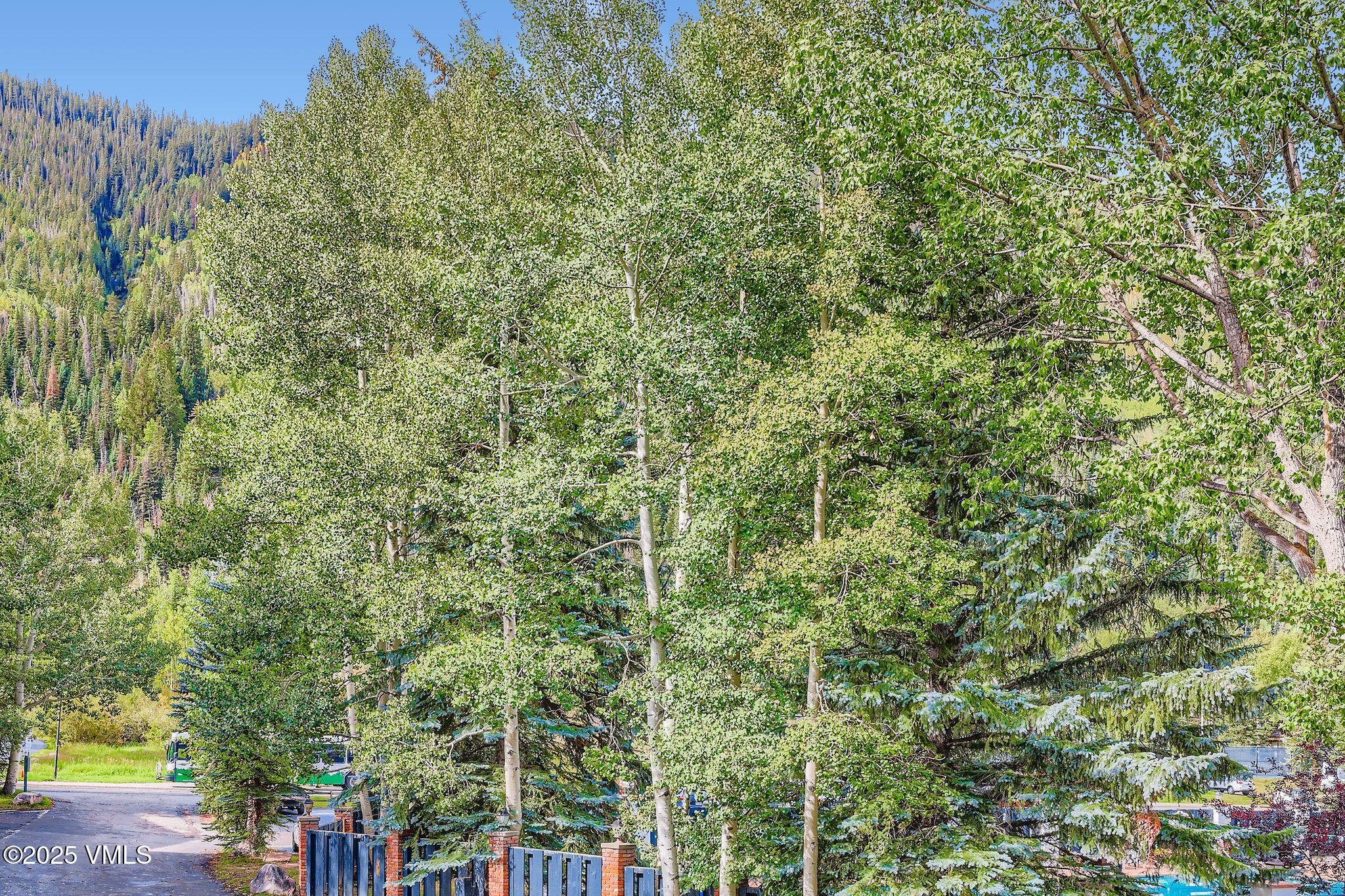 4680 Vail Racquet Club Drive, 14, Vail Unit: 14