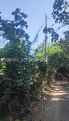 Zona Sur, Carretera del Litoral, Cangrejera