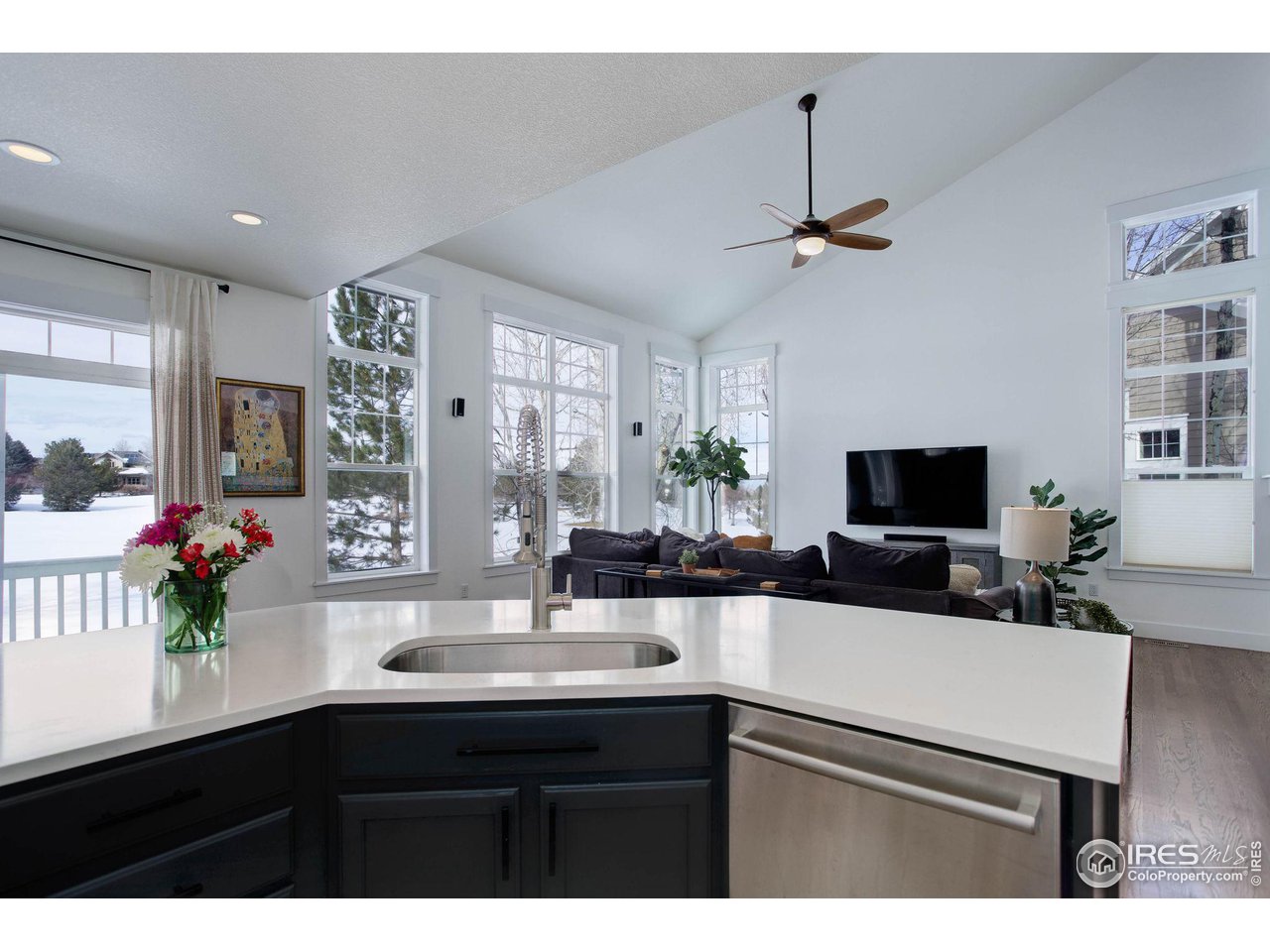 2729 Meadow Mountain Trl