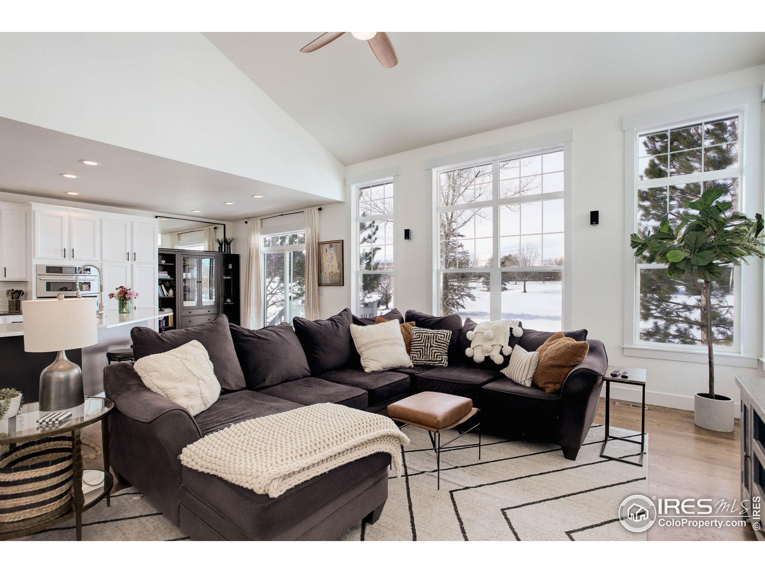 2729 Meadow Mountain Trl