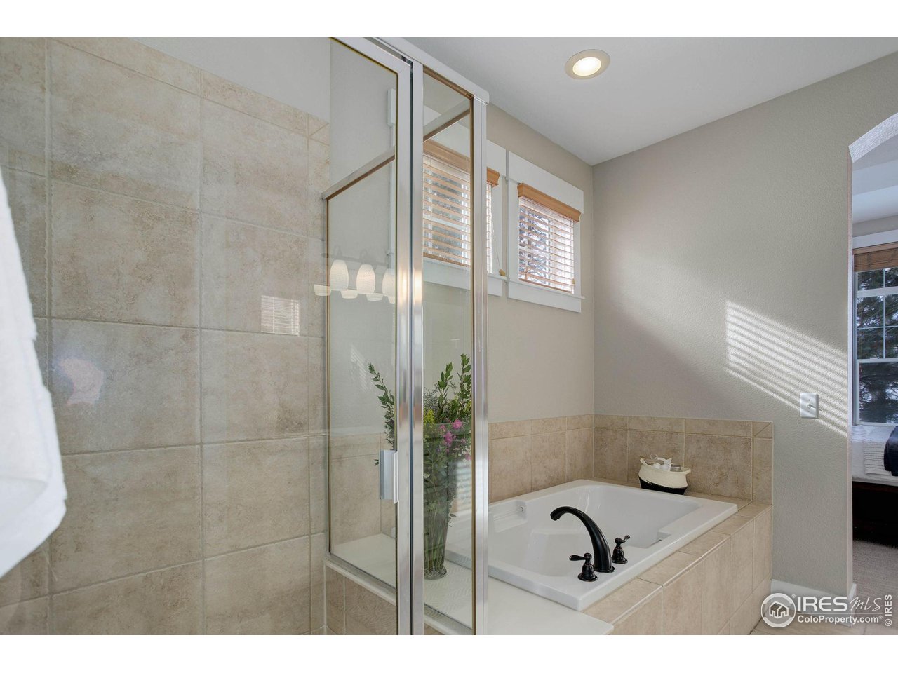 2729 Meadow Mountain Trl