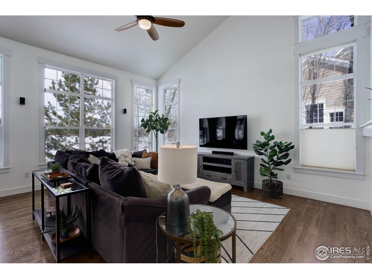 2729 Meadow Mountain Trl