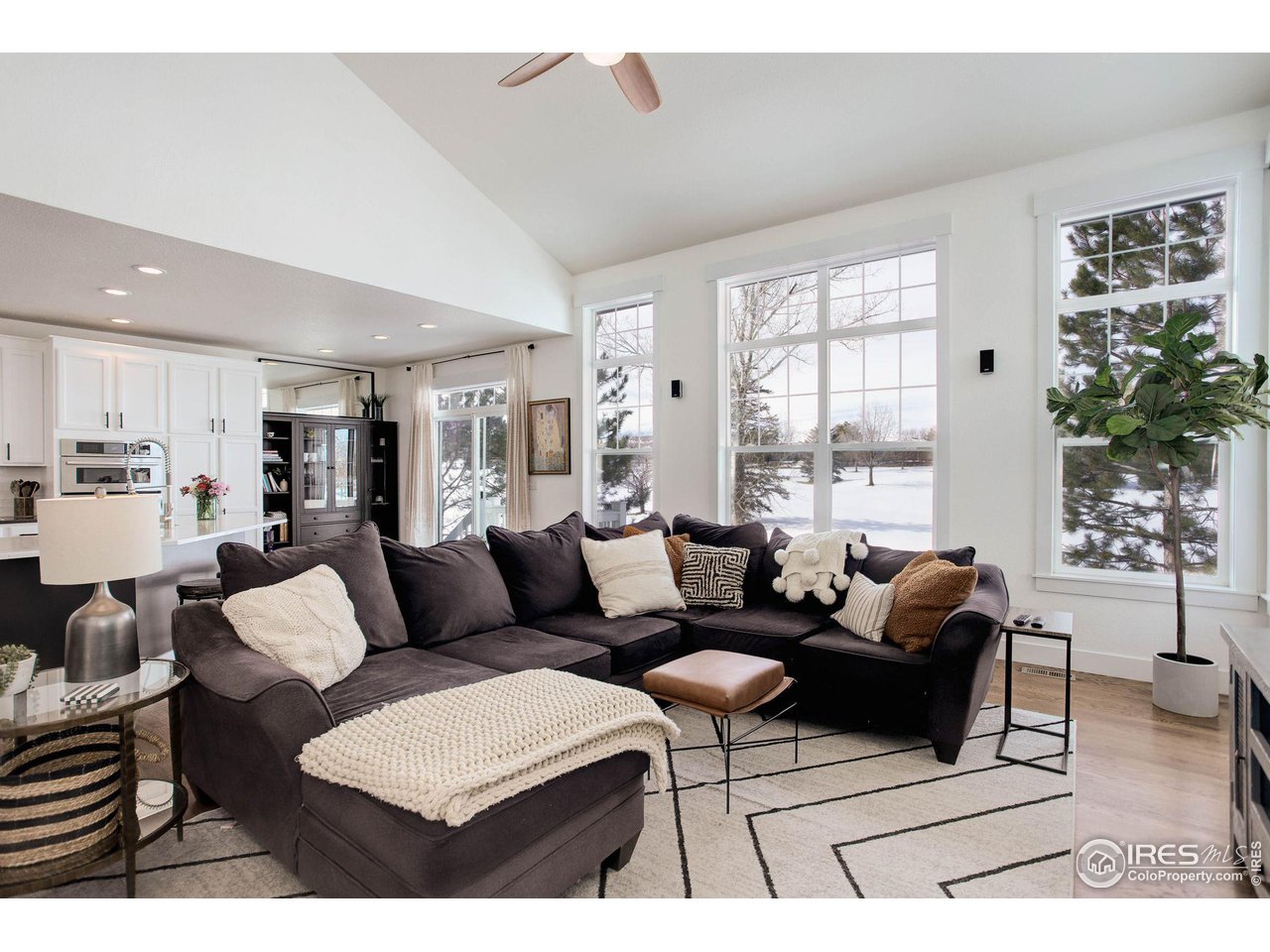 2729 Meadow Mountain Trl