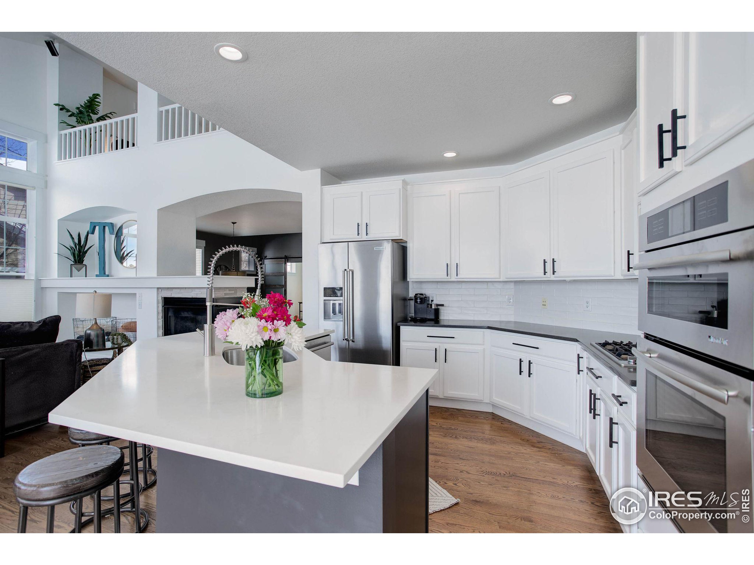 2729 Meadow Mountain Trl