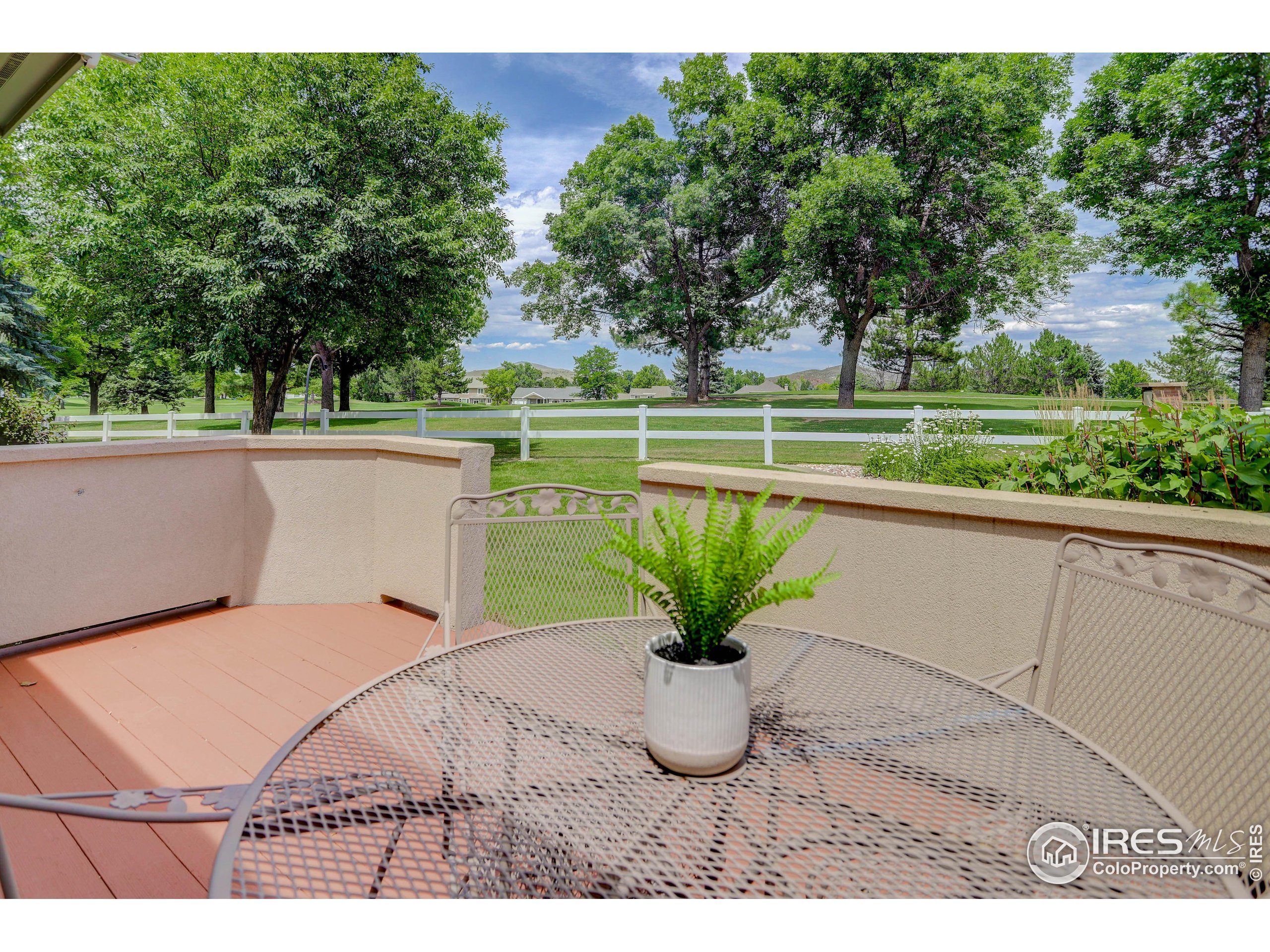 446 Rossum Dr