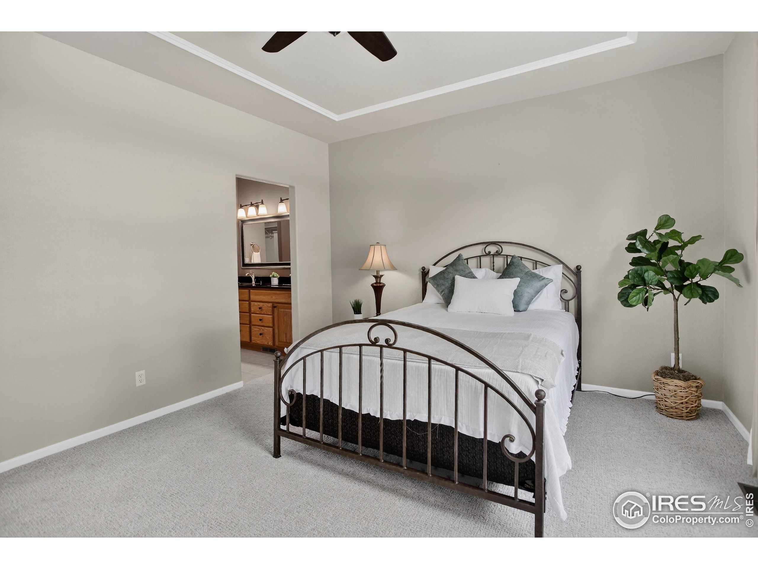 446 Rossum Dr
