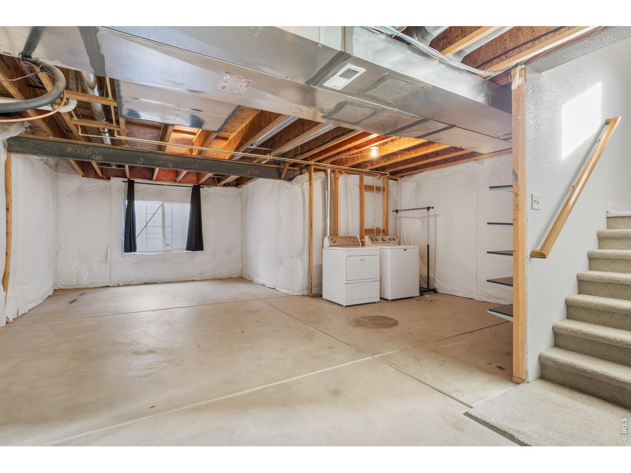 5025 Ladies Tresses Pl