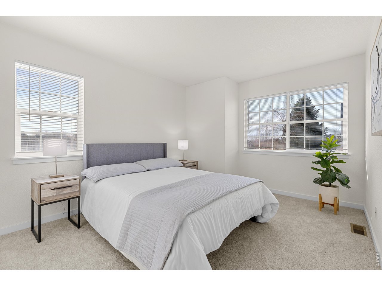 5025 Ladies Tresses Pl