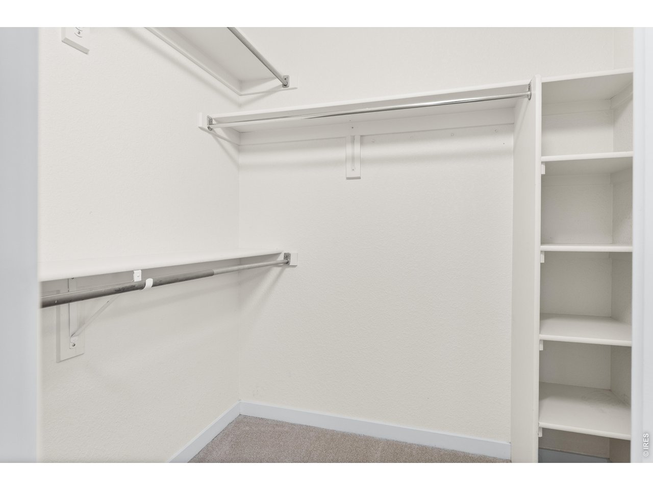 5025 Ladies Tresses Pl