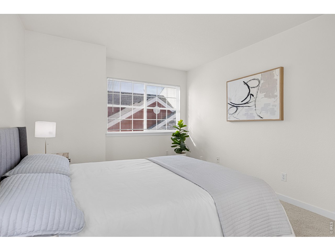 5025 Ladies Tresses Pl