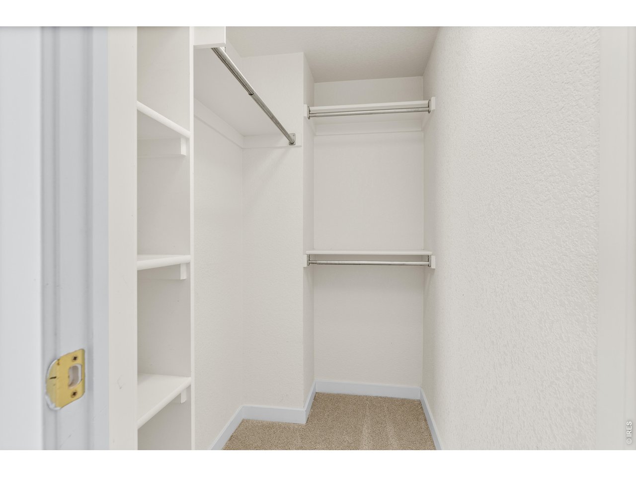 5025 Ladies Tresses Pl