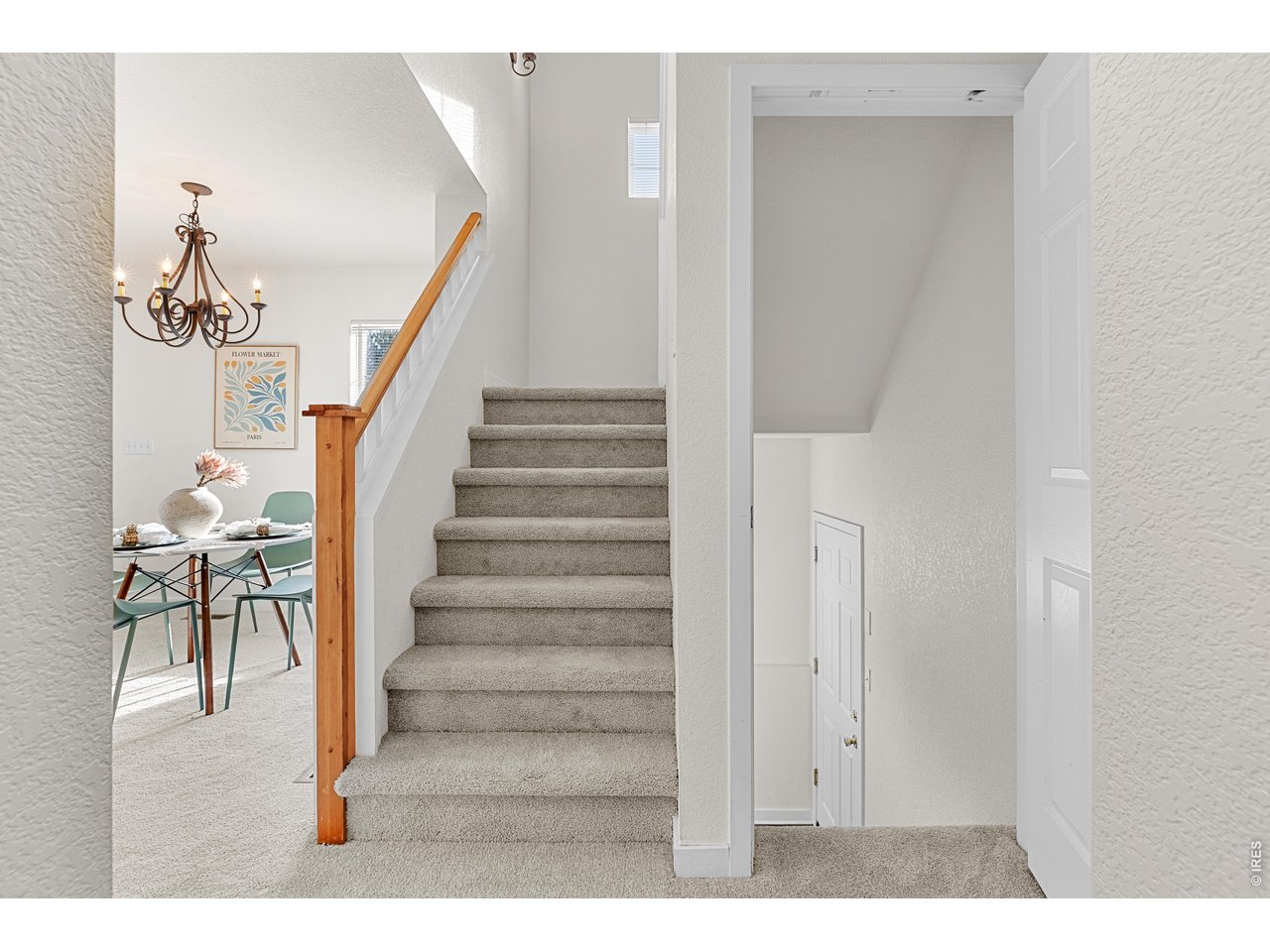 5025 Ladies Tresses Pl