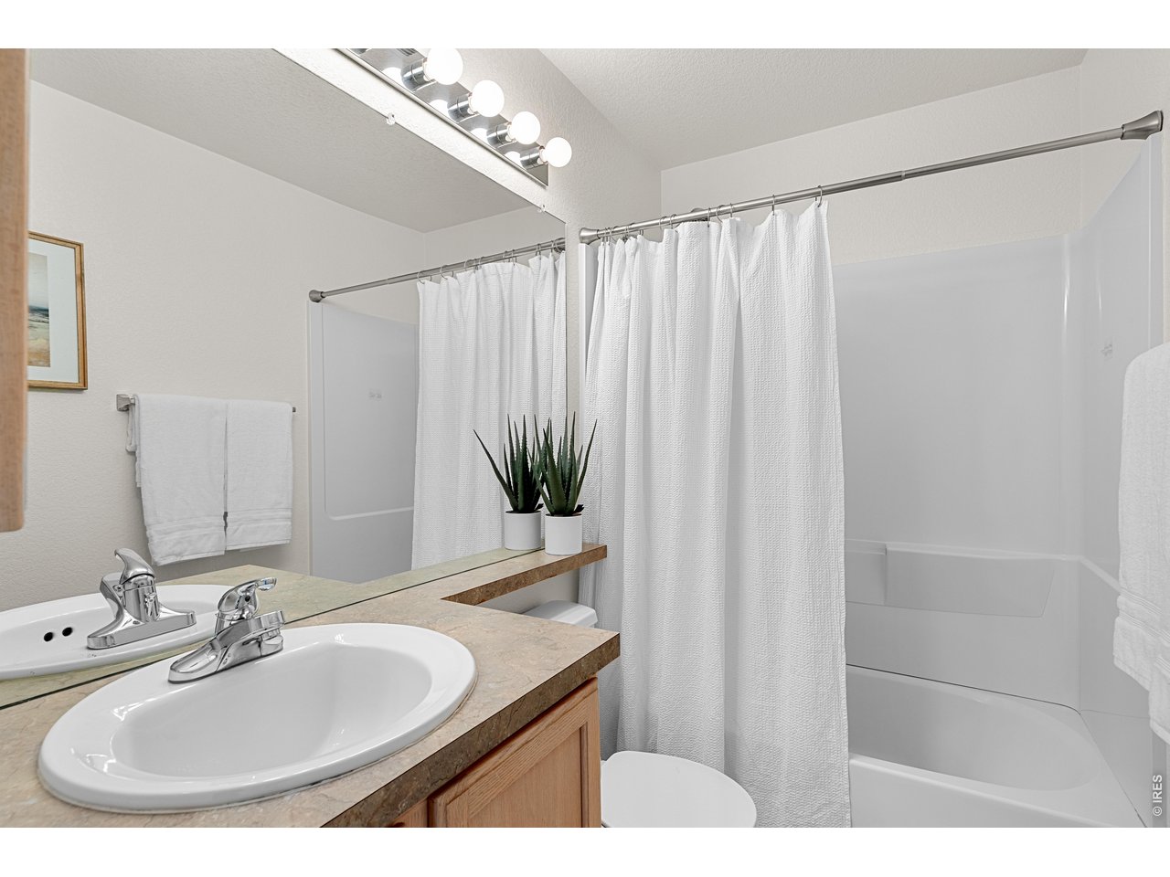 5025 Ladies Tresses Pl