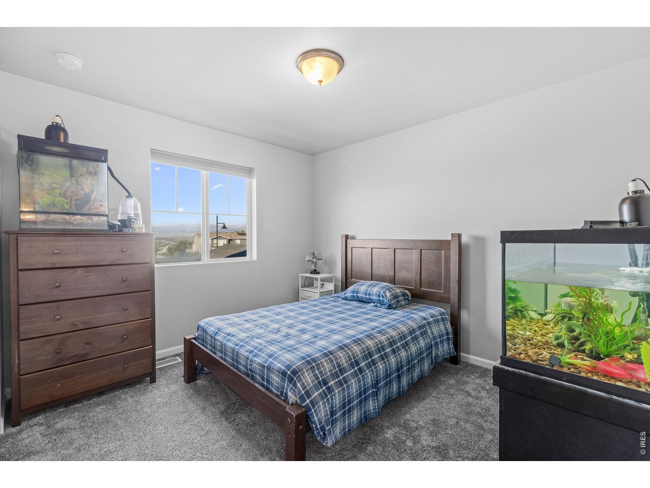 1 Morgan Cir S