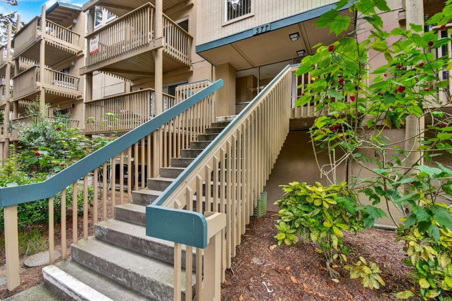 377 Mandarin Drive 305