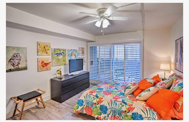 34264 Camino Capistrano 113