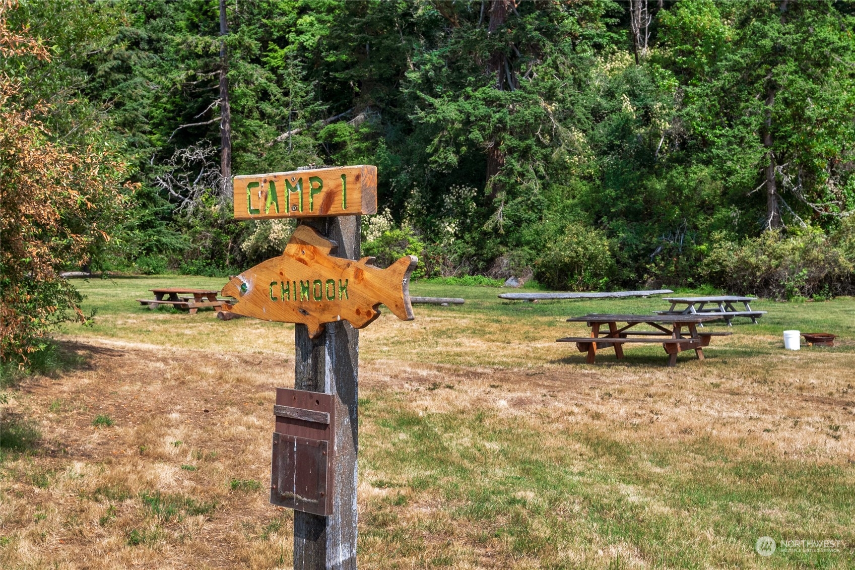 Wooden CAMP 1 and CHINOOK signs stand beside picnic tables in a wooded clearing.