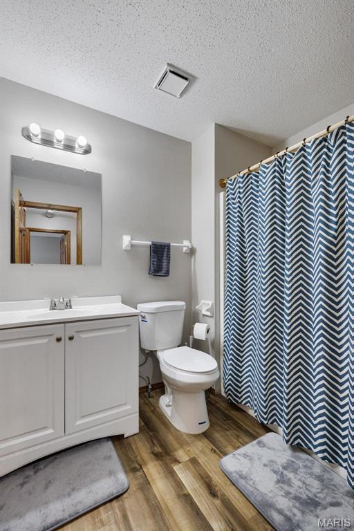 393 Misty Valley Drive