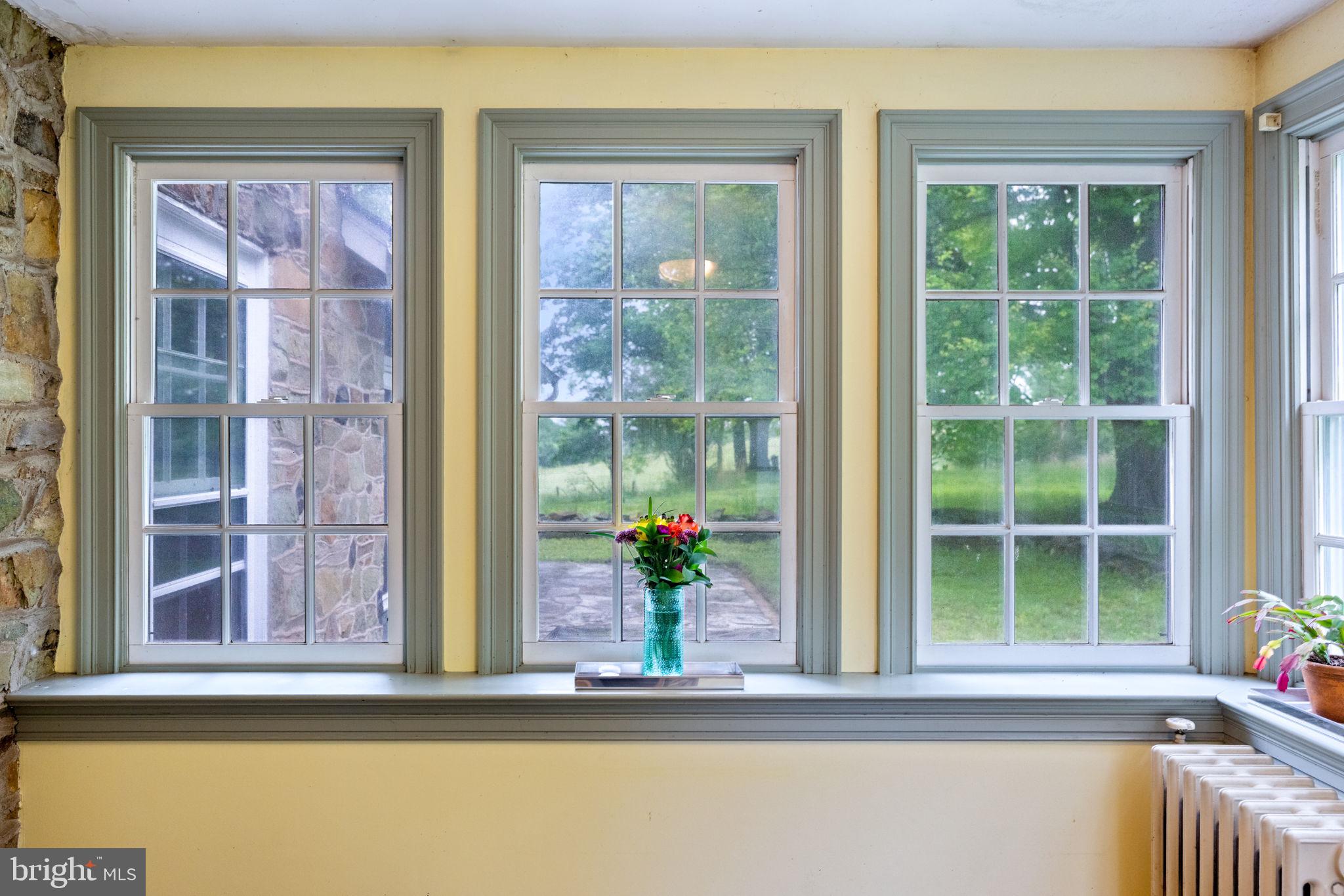 16158 CLARKES GAP ROAD