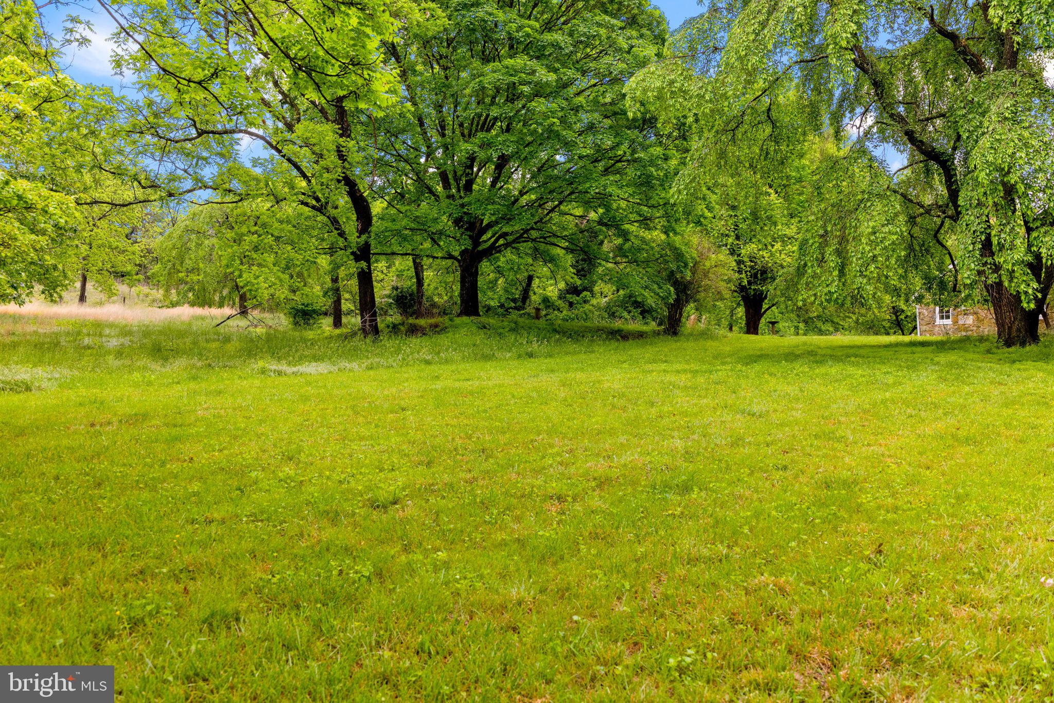 16158 CLARKES GAP ROAD