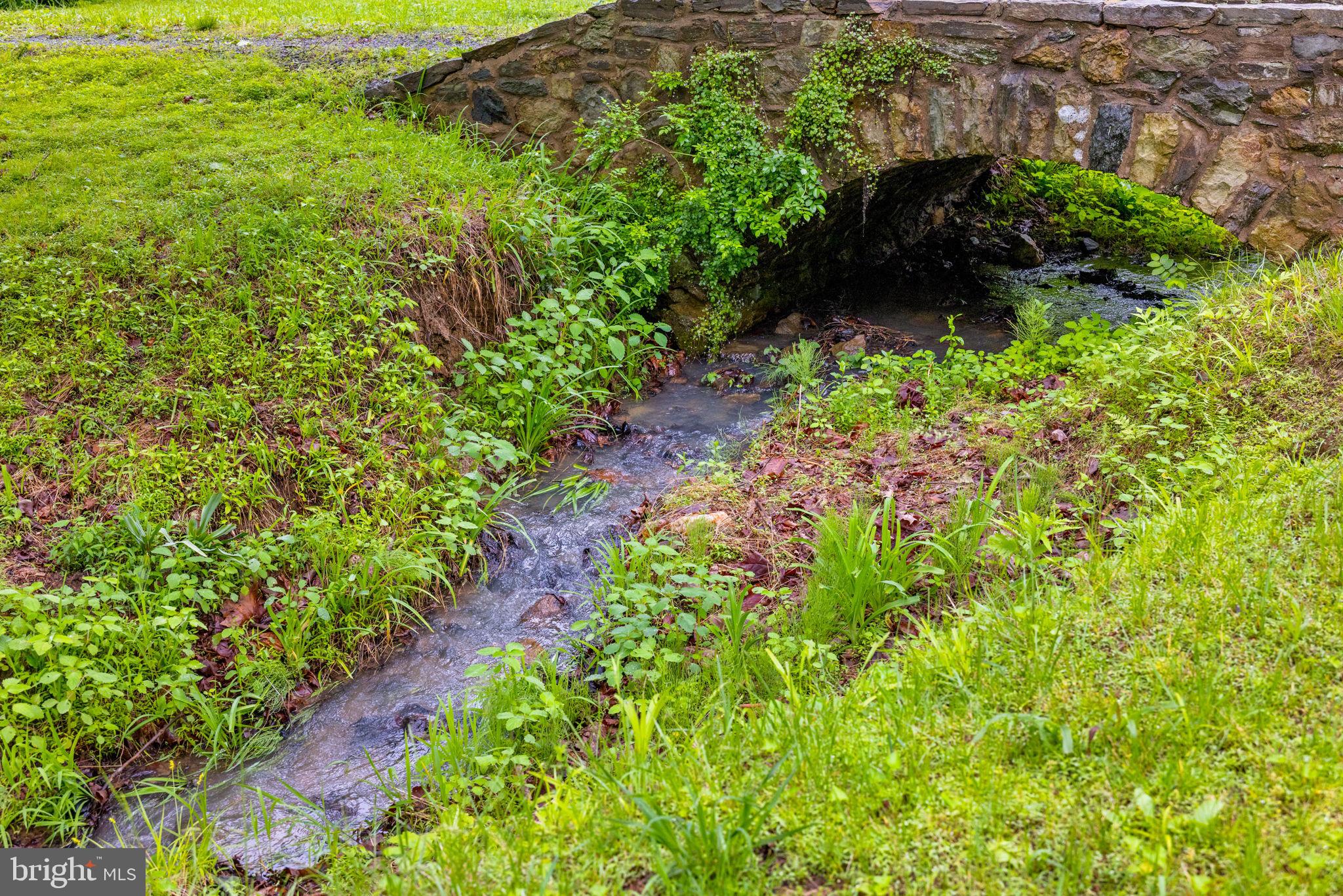 16158 CLARKES GAP ROAD