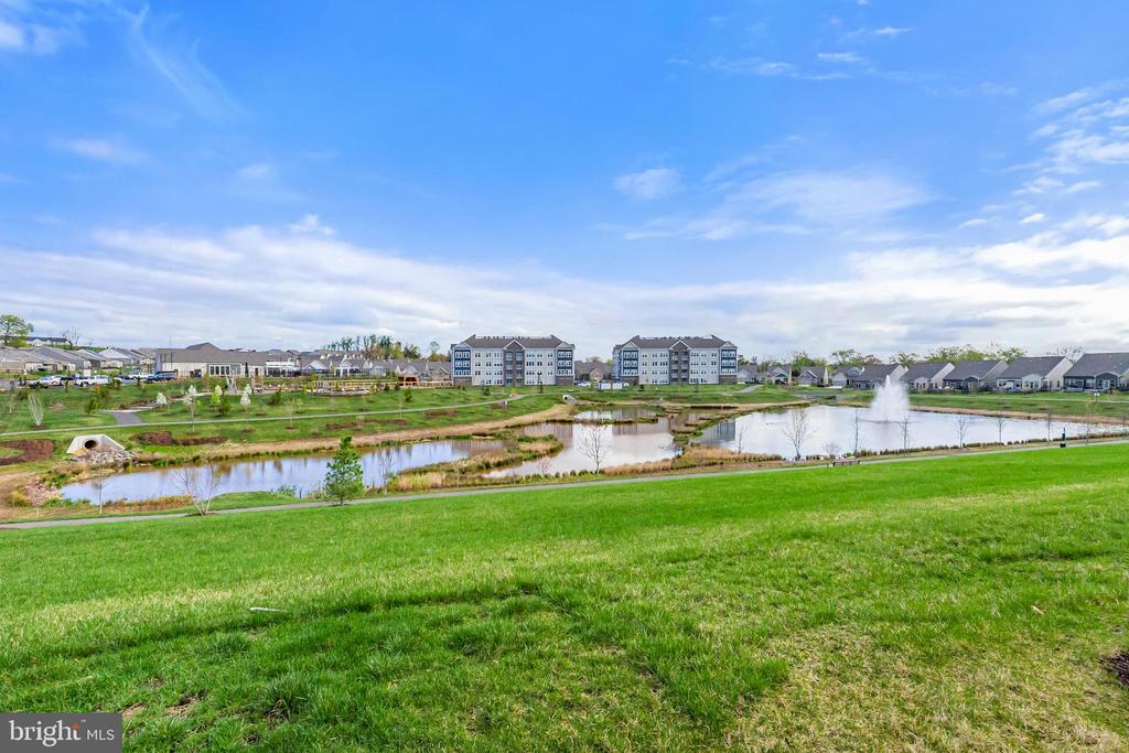 46360 Reddish Knob Dr