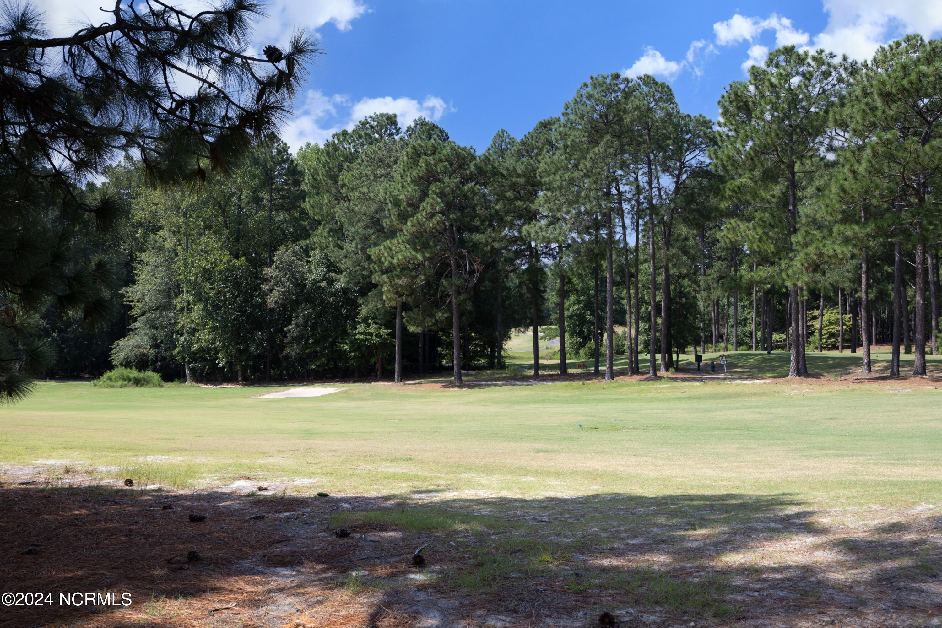 276 Longleaf Drive