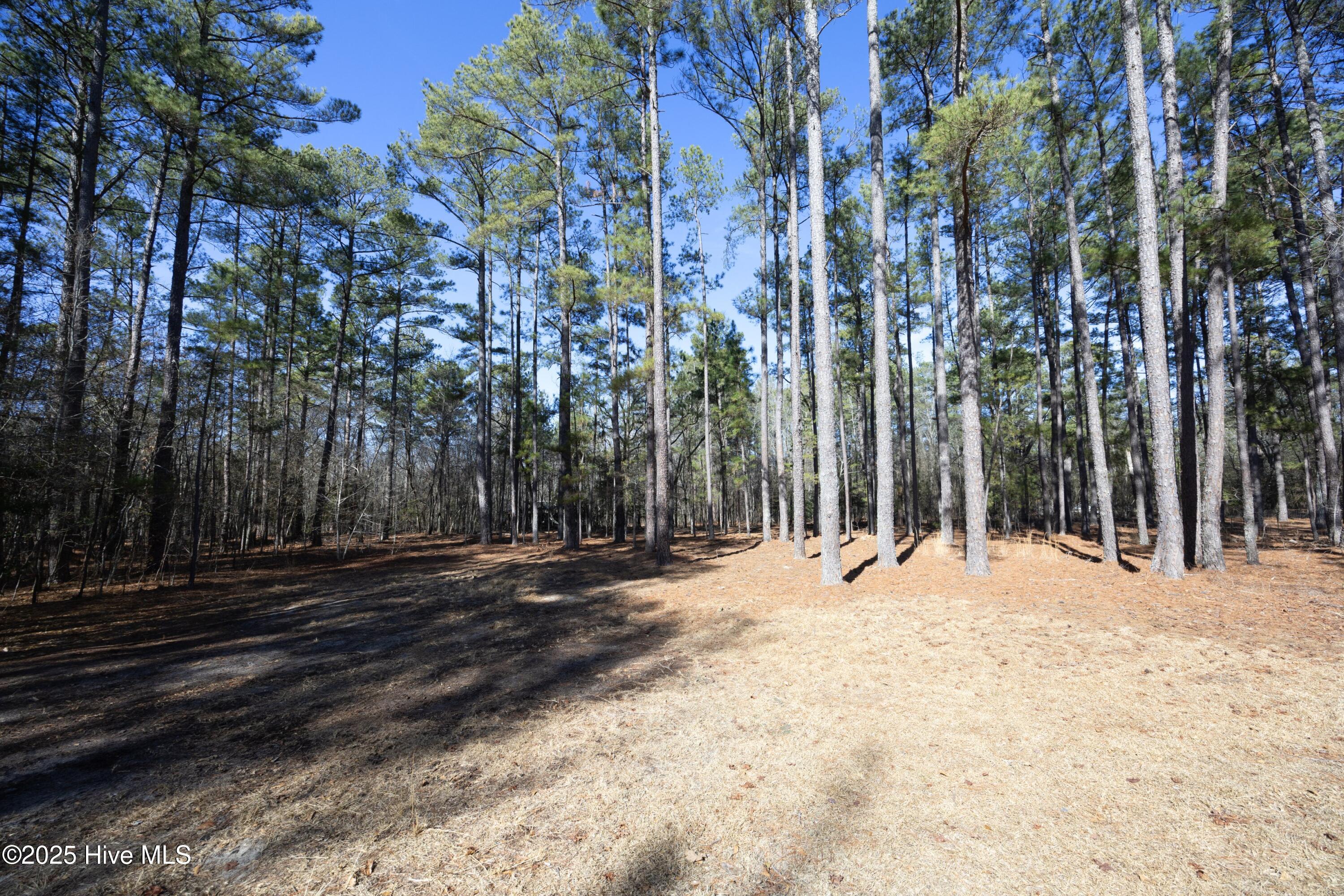 144 Birdnest Court