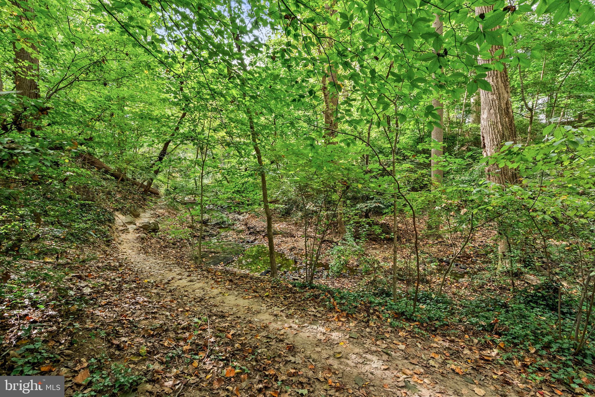 9302 LONG BRANCH PARKWAY