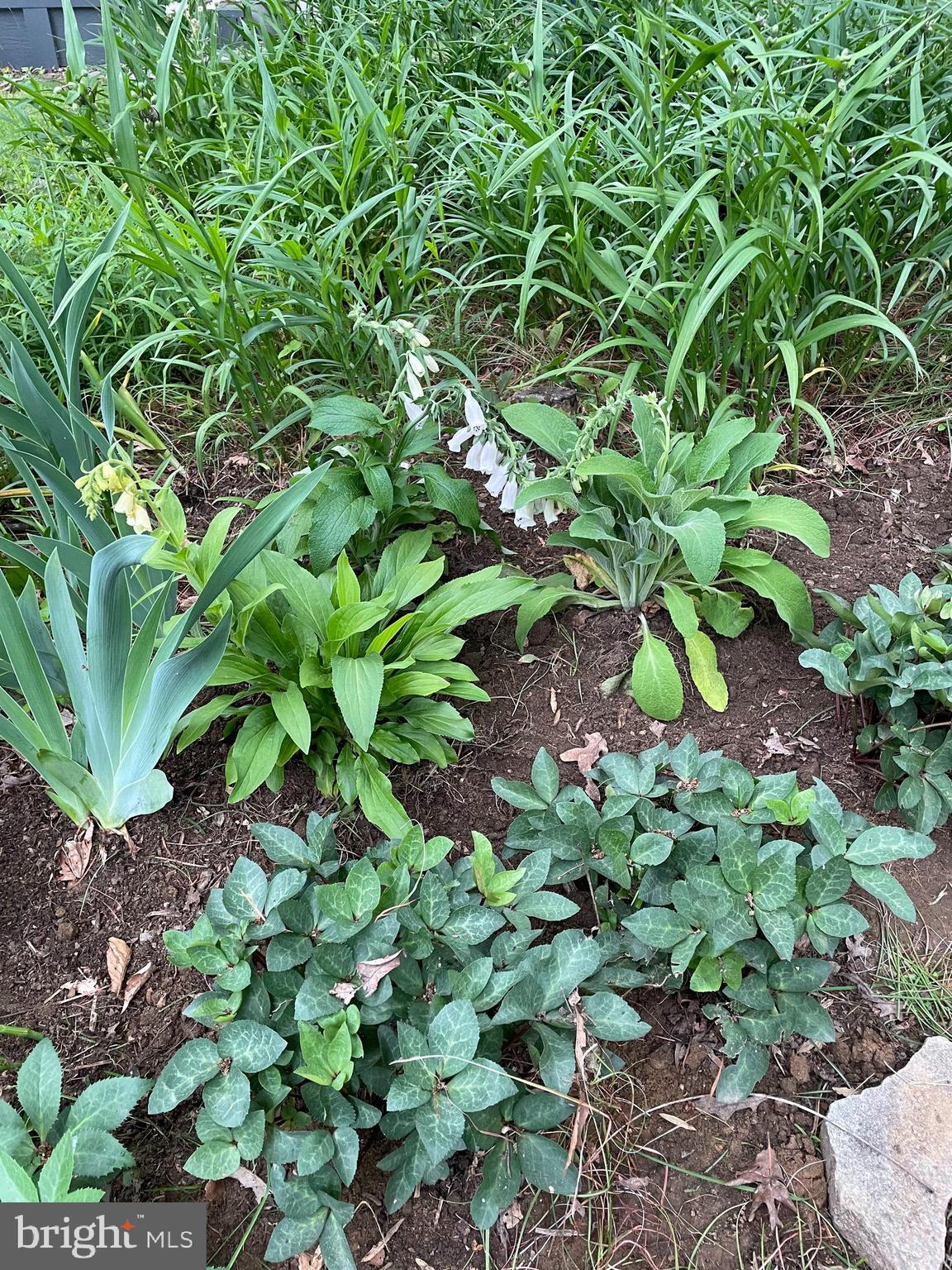 9302 LONG BRANCH PARKWAY