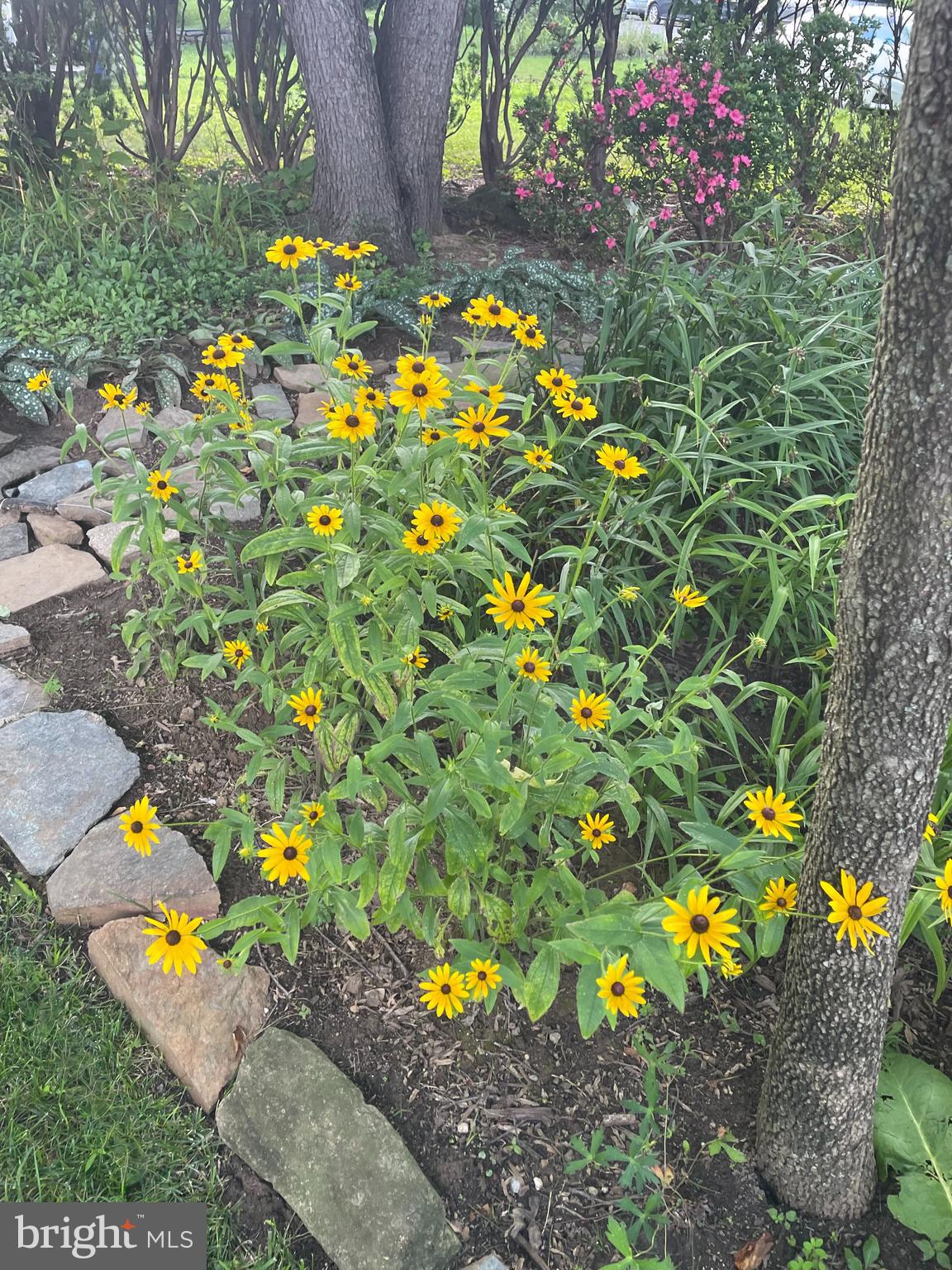 9302 LONG BRANCH PARKWAY