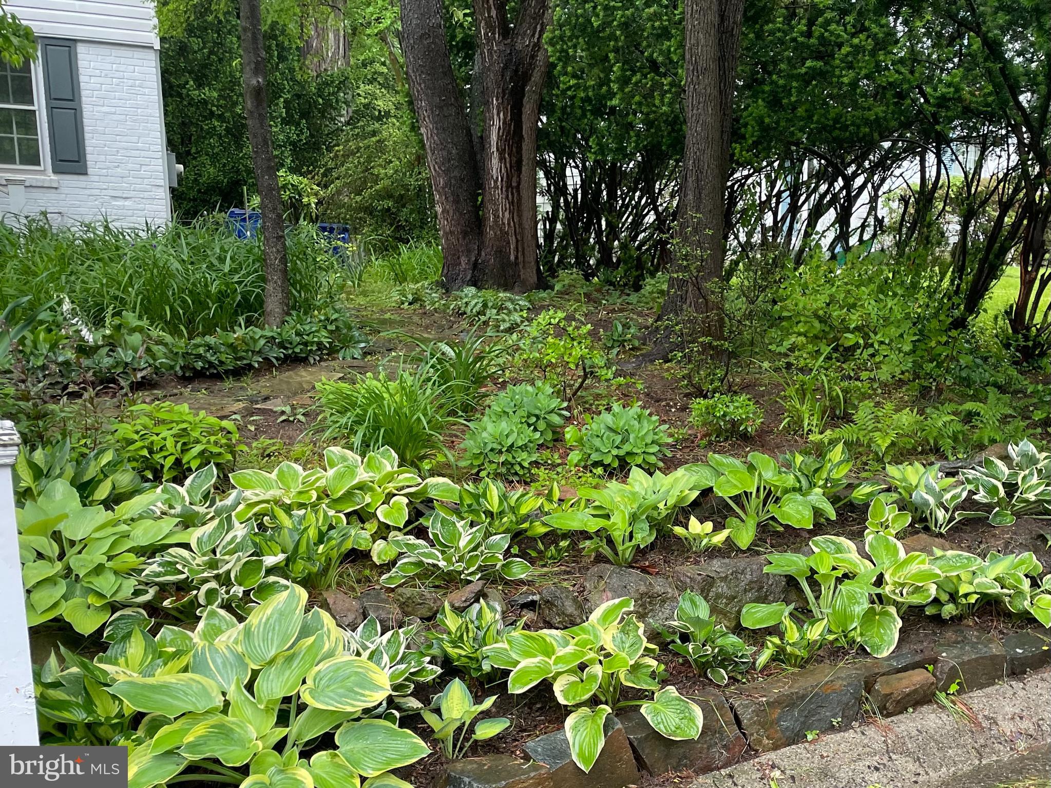 9302 LONG BRANCH PARKWAY