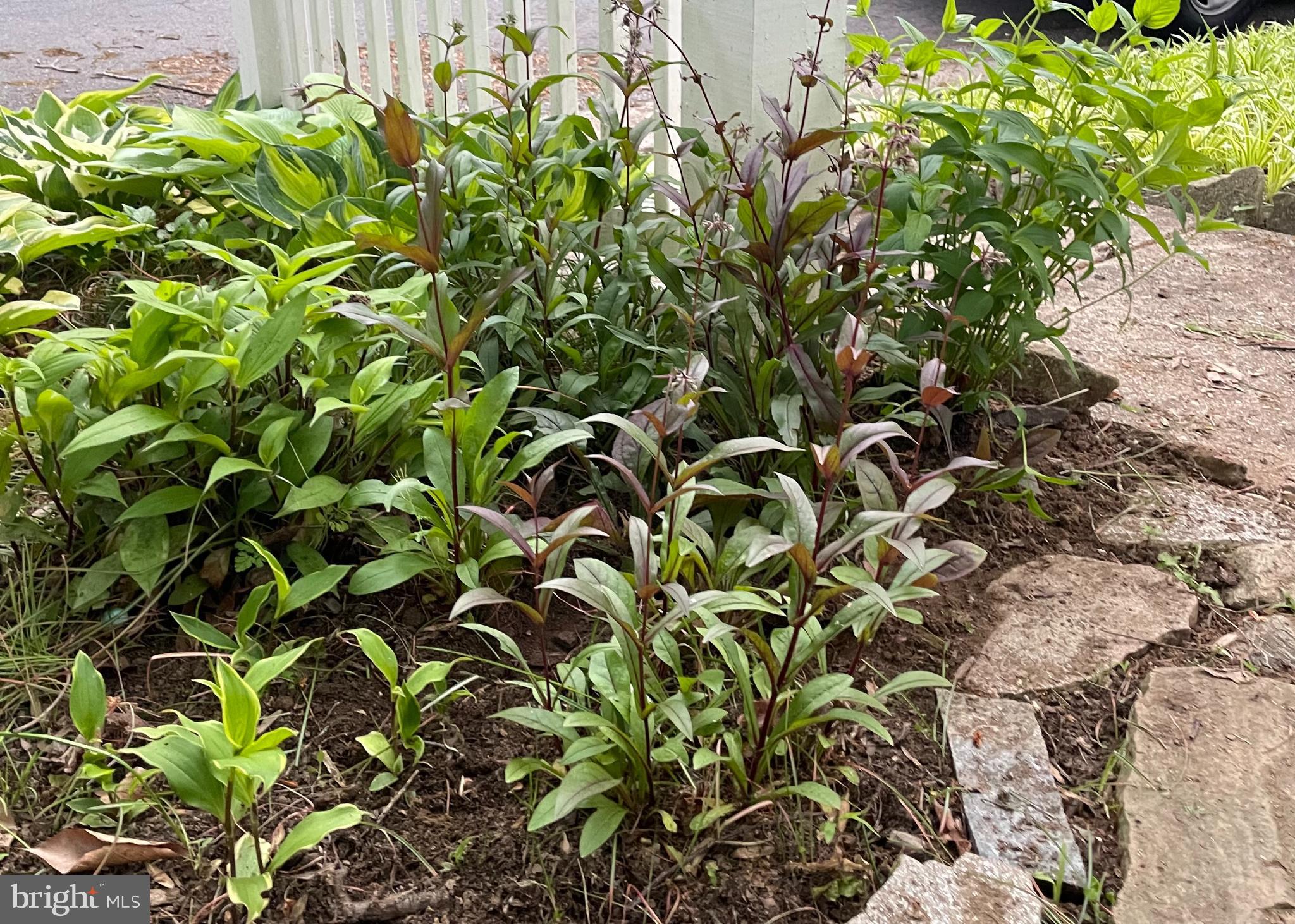 9302 LONG BRANCH PARKWAY